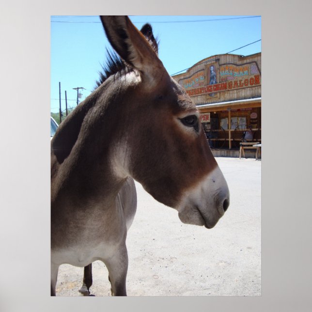 Affiches Jackass (Devant)