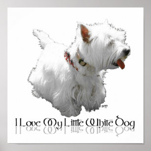 Affiches J'adore mon petit chien blanc - Westie