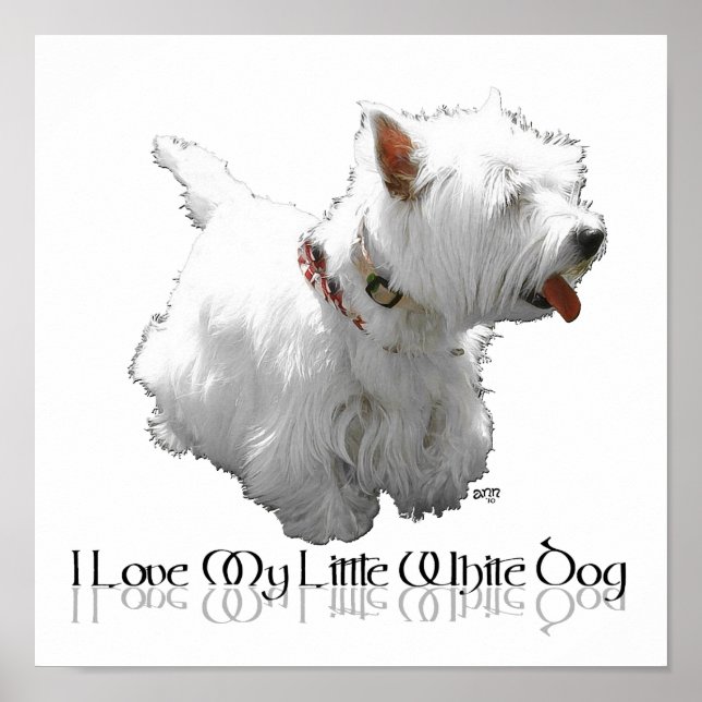 Affiches J'adore mon petit chien blanc - Westie (Devant)
