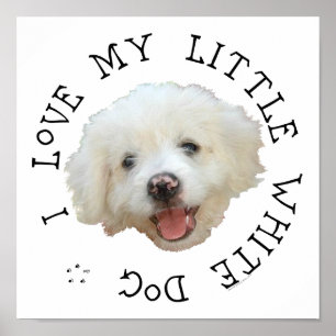 Affiches J'adore mon petit chien de sauvetage blanc
