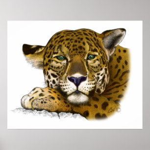 Affiches Jaguar