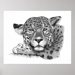 Affiches Jaguar au crayon