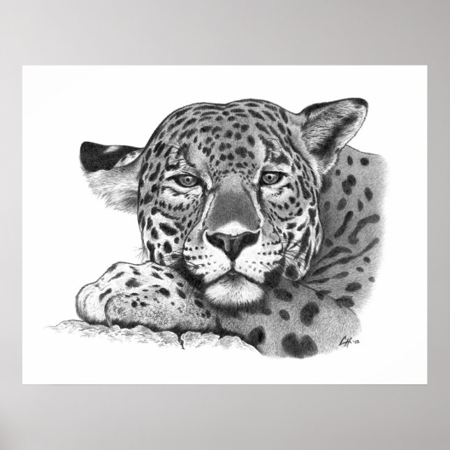 Affiches Jaguar au crayon (Devant)