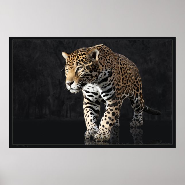 Affiches Jaguar Power 2 -60x40 -autres tailles disponibles (Devant)