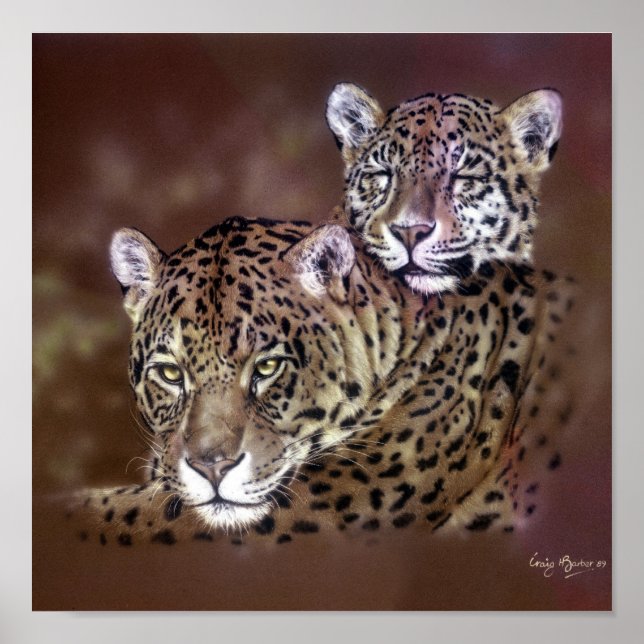 Affiches Jaguars (Devant)