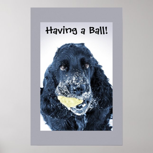 Affiches J'ai une balle ! (Devant)
