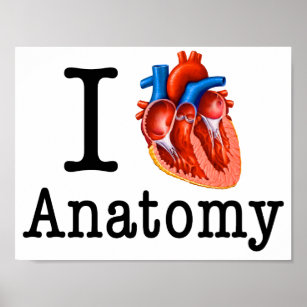 Affiches J'aime l'anatomie