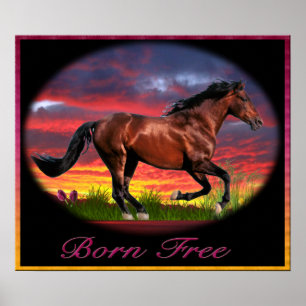 Affiches J'aime les chevaux