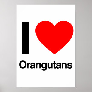 Affiches j'aime les orangs-outans