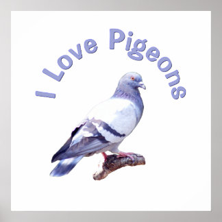 Affiches J'aime les pigeons