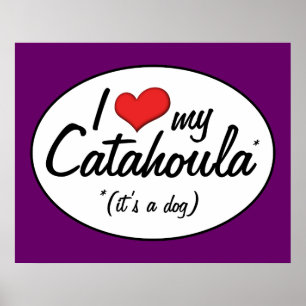 Affiches J'aime mon Catahoula (c'est un chien)