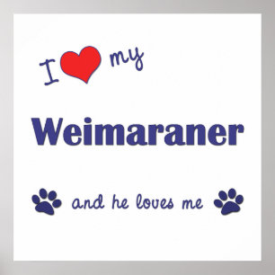 Affiches J'Aime Mon Weimaraner (Chien Homme)
