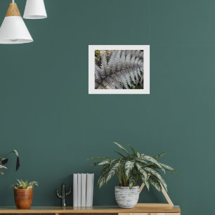 Affiches Japanese Painted Fern Floral Photographic