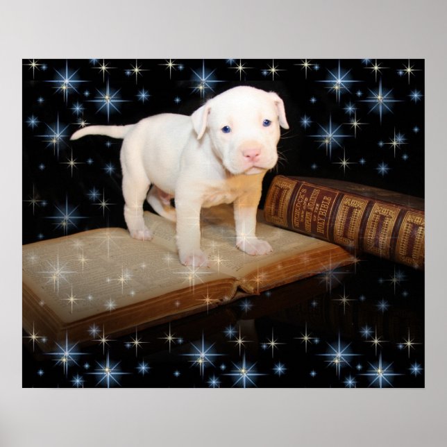 Affiches J'apprends à lire la Bible (Devant)