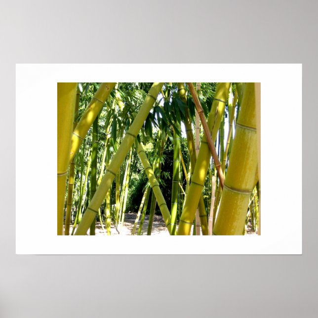 Affiches Jardin de Bambou (Devant)