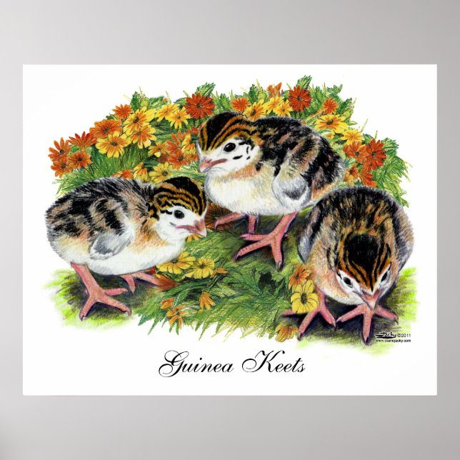 Affiches Jardin de fleurs Keets (Devant)