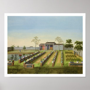 Affiches Jardin de pépinière, c.1820-40 (la semaine sur le