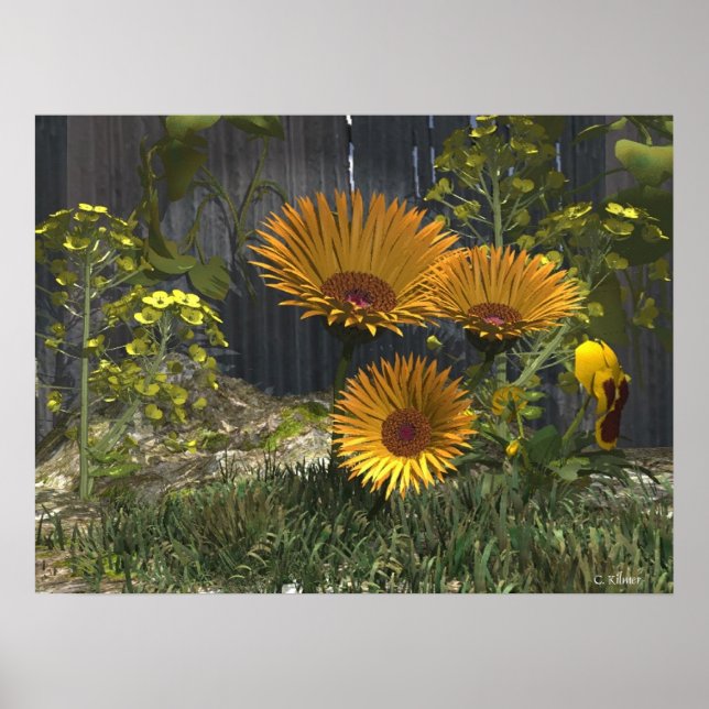 Affiches Jardin de plaisir de maman (Devant)