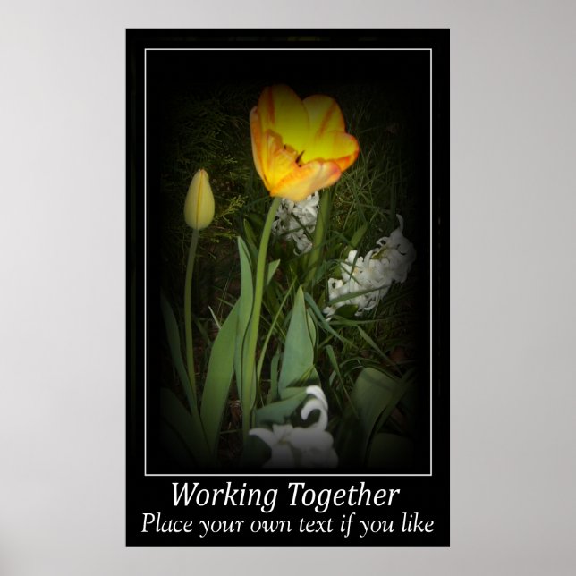 Affiches Jardin de printemps de Tulipe travaillant ensemble (Devant)