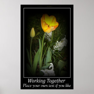 Affiches Jardin de ressort de tulipe fonctionnant ensemble
