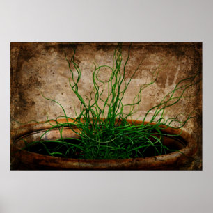 Affiches Jardin de vert