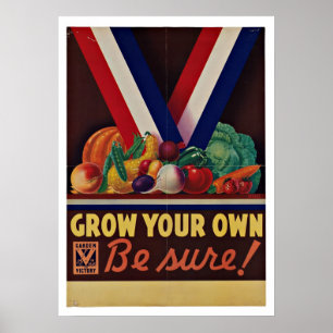Affiches Jardin de victoire - patriotisme vintage