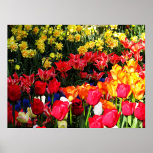 Affiches Jardin ensoleillé