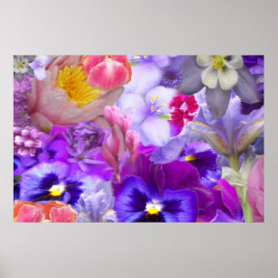 Affiches Jardin Rotary