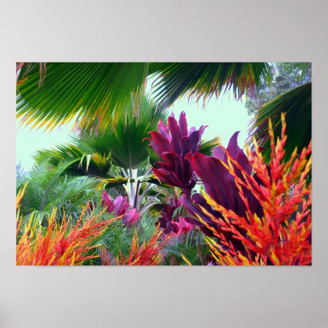 Affiches Jardin tropical au Paradis Imprimer (Devant)