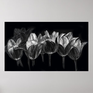 Affiches Jardin Tulip Noir Blanc Scratchboard Art
