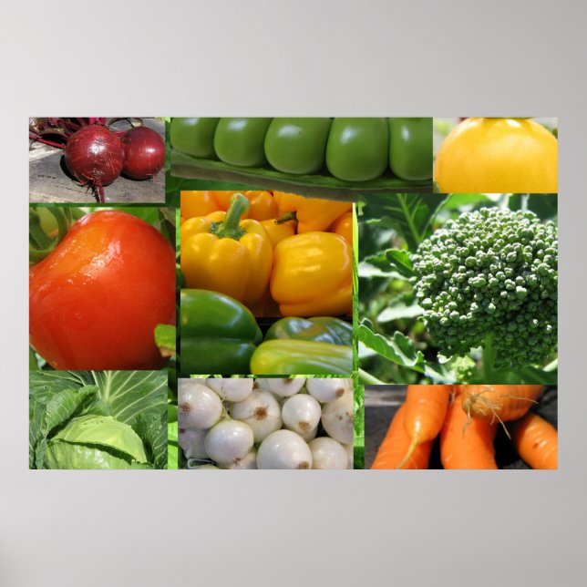 Affiches Jardin végétal jardin (Devant)