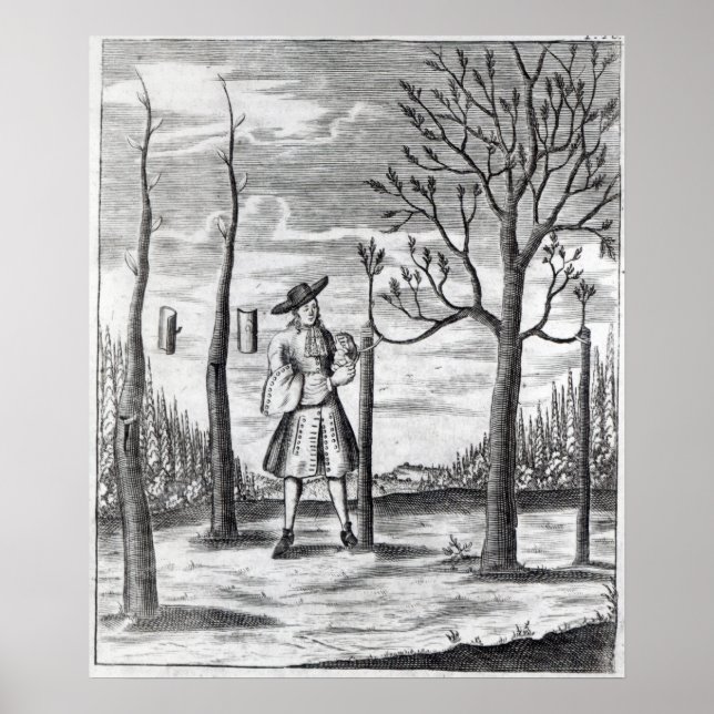 Affiches Jardinage et Maladies Plantes (Devant)