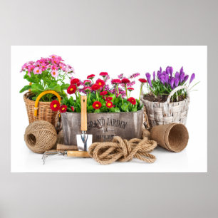 Affiches Jardinage Photographie Art - SRF
