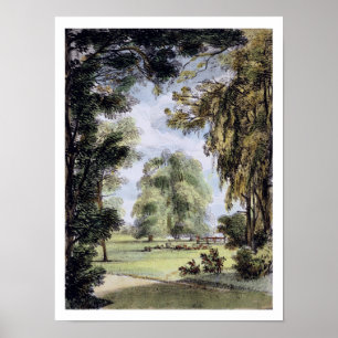Affiches Jardins de Kew : Une série de vingt-quatre dessins