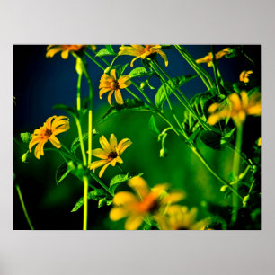 Affiches jaune…