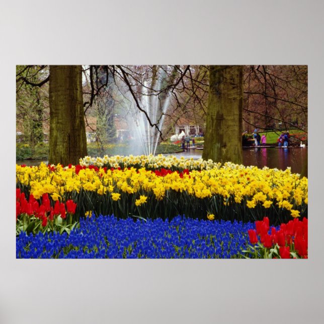 Affiches Jaune Keukenhof jardins, Amsterdam, Pays-Bas f (Devant)