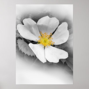 Affiches jaune sur des nuances de gris