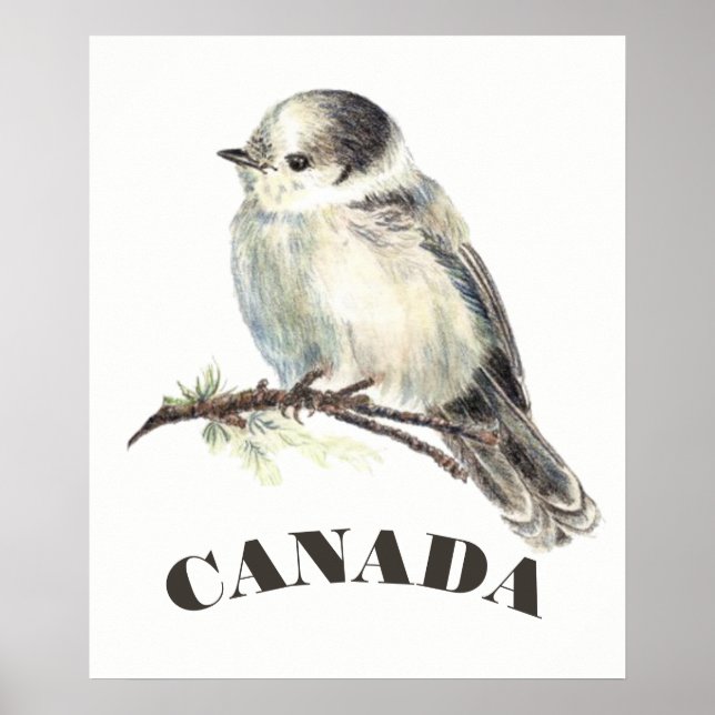 Affiches Jay gris gris d'oiseaux du Canada, Jack Whiskey (Devant)