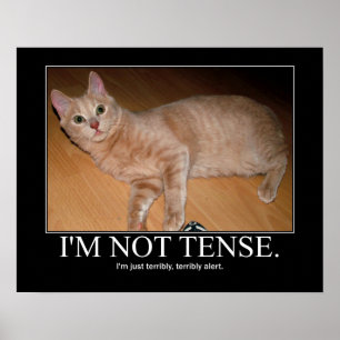 Affiches Je ne suis pas illustration tendue de chat