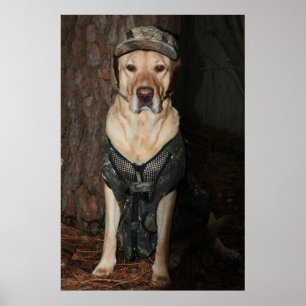 Affiches Je préfère chasser