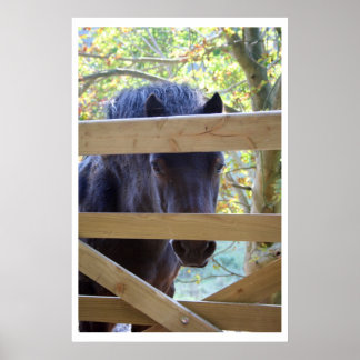 Affiches Je regarde. [Imprimer]