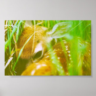 Affiches Je suis timide