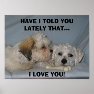 AFFICHES JE T'AI DIT RÉCEMMENT QUE... J'AIME ...