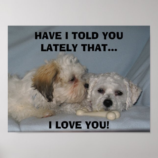 AFFICHES JE T'AI DIT RÉCEMMENT QUE... J'AIME ... (Devant)