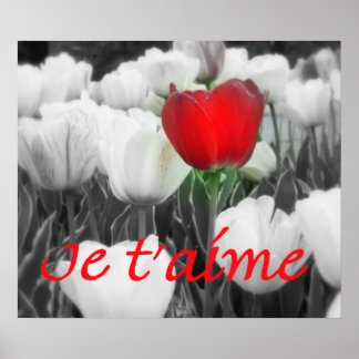 Affiches Je t'aime Red Tulip Imprimer