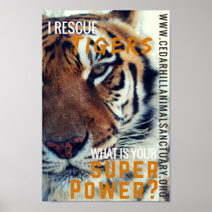 Affiches J'économise la super puissance des tigres