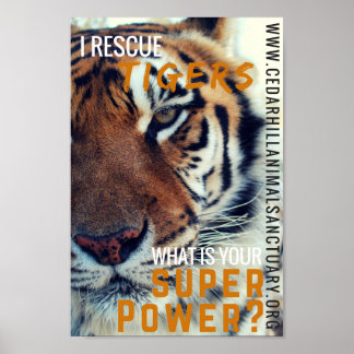 Affiches J'économise la super puissance des tigres