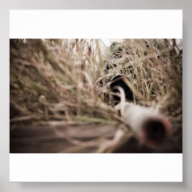 Affiches jerry (Devant)