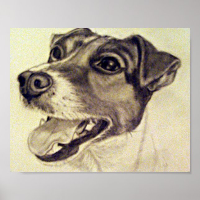 Affiches Jester le Jack Russell Terrier (Devant)