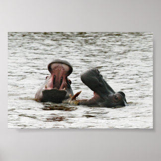 Affiches Jeu d'hippopotames maman & fils